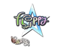 印花 | floppy（全息）| 2023年巴黎锦标赛