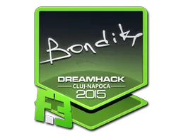 印花 | bondik | 2015年卢日-纳波卡锦标赛