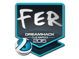 印花 | fer | 2015年卢日-纳波卡锦标赛
