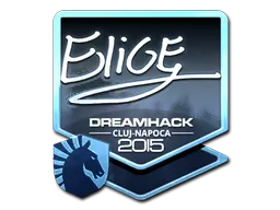 印花 | EliGE(闪亮)| 2015年卢日-纳波卡锦标赛
