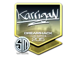 印花 | karrigan（闪亮）| 2015年克卢日-纳波卡锦标赛