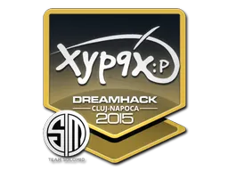 印花 | Xyp9x | 2015年克卢日-纳波卡锦标赛