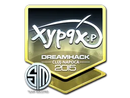 印花 | Xyp9x(闪亮)| 2015年卢日-纳波卡锦标赛