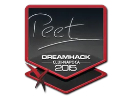 印花 | peet | 2015年克卢日-纳波卡锦标赛