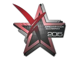 印花 | Vexed Gaming | 2015年克卢日-纳波卡锦标赛