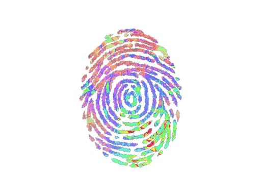 印花 | 证据(全息)