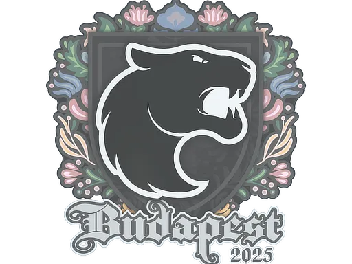 印花 | FURIA | 2025年布达佩斯锦标赛