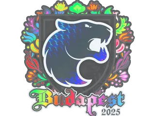 印花 | FURIA(全息)| 2025年布达佩斯锦标赛