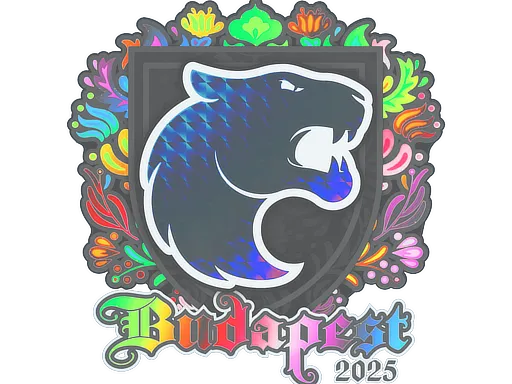 印花 | FURIA（全息）| 2025年布达佩斯锦标赛