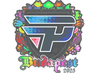 印花 | paiN Gaming(全息)| 2025年布达佩斯锦标赛