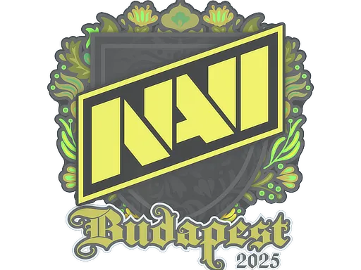 印花 | Natus Vincere | 2025年布达佩斯锦标赛