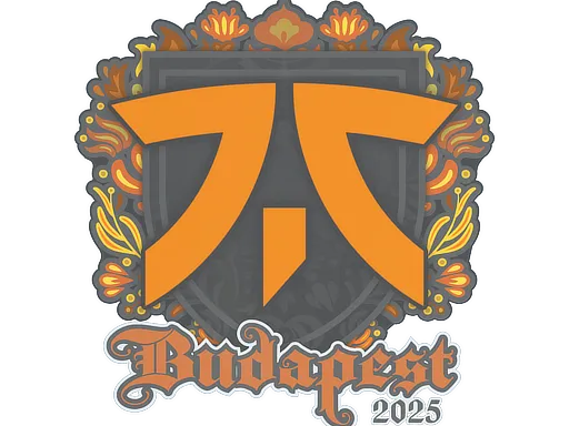 印花 | Fnatic | 2025年布达佩斯锦标赛