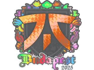 印花 | Fnatic(全息)| 2025年布达佩斯锦标赛