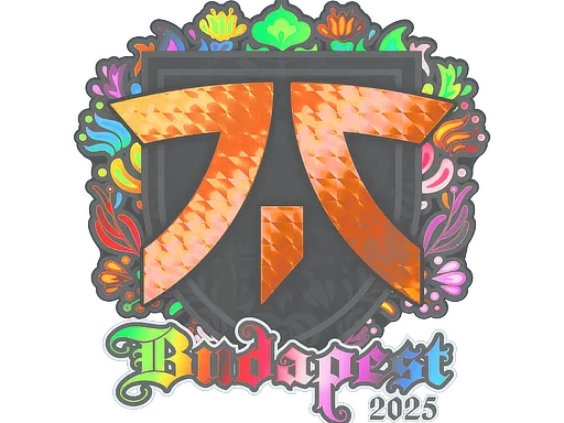 印花 | Fnatic（全息）| 2025年布达佩斯锦标赛