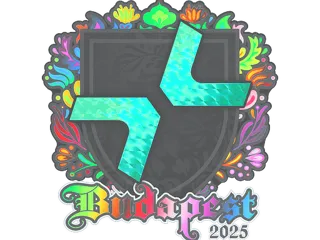 印花 | Parivision(全息)| 2025年布达佩斯锦标赛