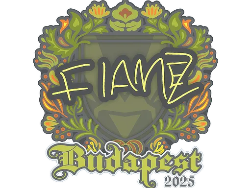 印花 | FlameZ | 2025年布达佩斯锦标赛