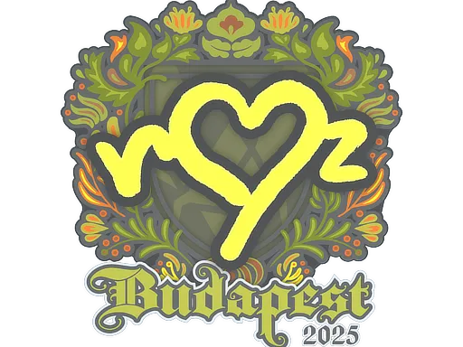 印花 | ropz | 2025年布达佩斯锦标赛