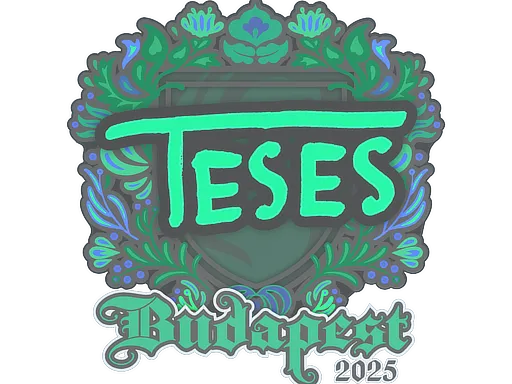 印花 | TeSeS | 2025年布达佩斯锦标赛