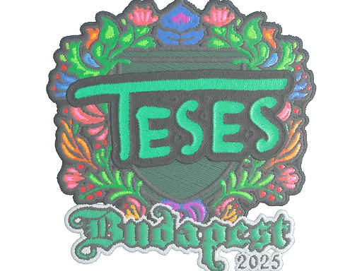 印花 | TeSeS（刺绣）| 2025年布达佩斯锦标赛