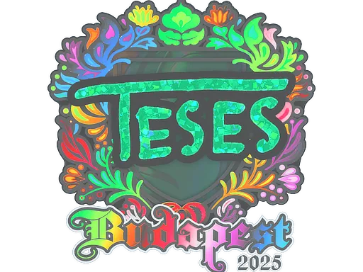 印花 | TeSeS（全息）| 2025年布达佩斯锦标赛