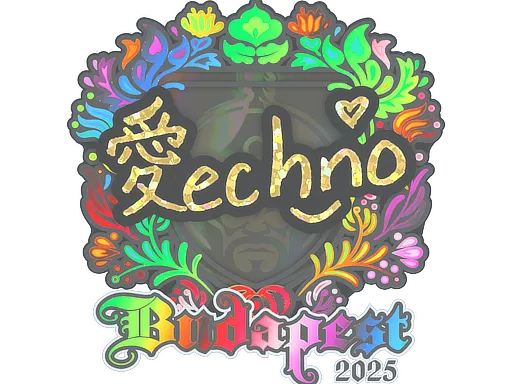 印花 | Techno4K(全息)| 2025年布达佩斯锦标赛