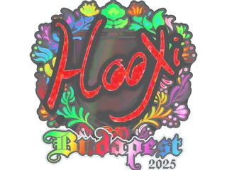 印花 | HooXi(全息)| 2025年布达佩斯锦标赛